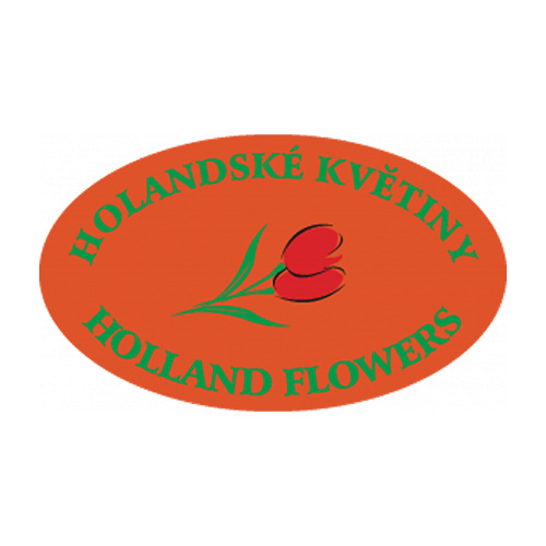 HOLANDSKÉ KVĚTINY